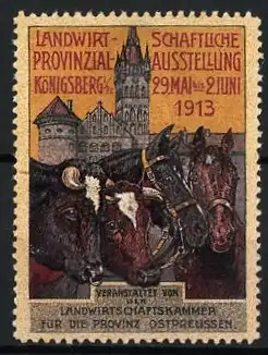 Reklamemarke Königsberg / Ostpreussen, Landwirtschaftliche Ausstellung 1913, Pferde und Schloss