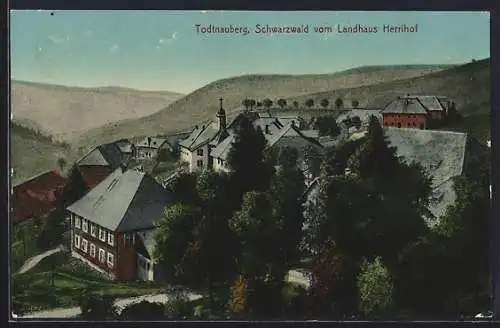 AK Todtnauberg /Schwarzwald, Ortsansicht vom Landhaus Herrihof