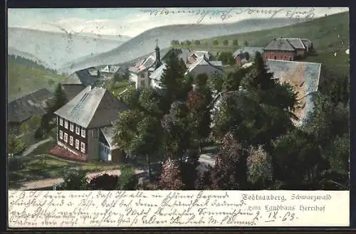 AK Todtnauberg /Schwarzwald, Ortspartie vom Landhaus Herrihof