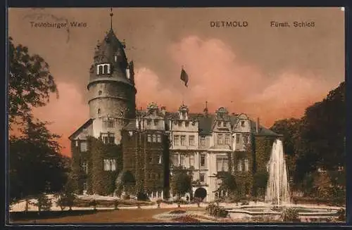 AK Detmold /Teutoburger Wald, Fürstl. Schloss mit Springbrunnen