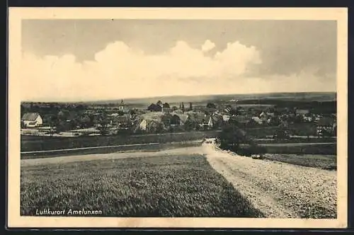 AK Amelunxen, Weide vor der Stadt