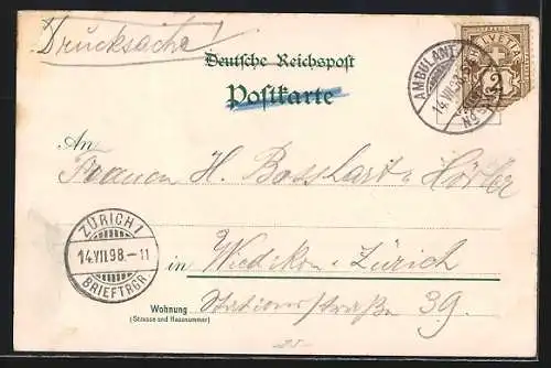 Lithographie Konstanz, Inselhotel, Teilansicht mit Münster, Gesamtansicht