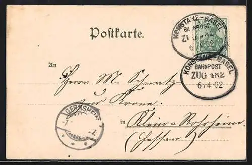 Lithographie Konstanz, Gesamtansicht, Ruderer auf dem Bodensee