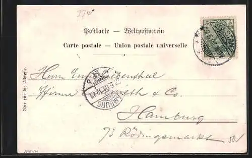 Lithographie Konstanz, Insel-Hotel am Bodensee