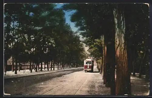 AK Debreczen, Nagyerdöi fasor, Strassenbahn