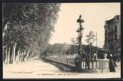 AK Perpignan, Allée des Marronniers, Strassenbahn