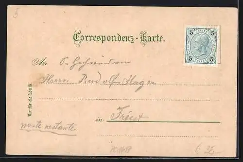 Lithographie Peuerbach, Marktplatz mit Geschäften und Passanten