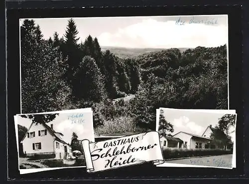 AK Bad Schwalbach, Gasthaus Schlehborner Heide in drei Ansichten