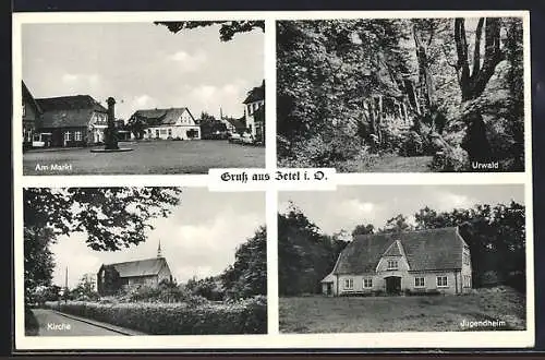 AK Zetel, am Markt, Kirche, Jugendheim, Urwald