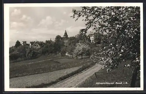 AK Buoch, Strasse zum Ort im Frühling