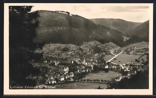 AK Calmbach bei Wildbad, Totalansicht von einen Berg aus