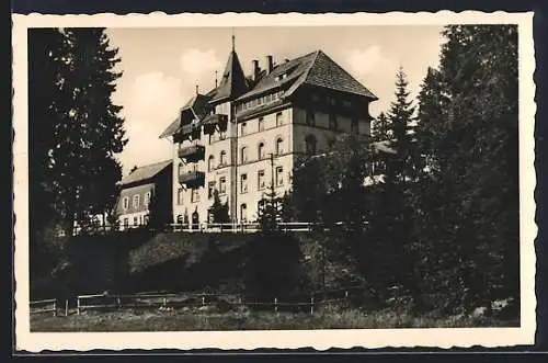 AK Notschrei /Schwarzwald, Blick zum Waldhotel