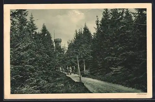 AK Kaltenbronn, Weg zum Hohlohturm