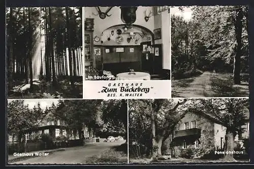 AK Obernkirchen, Gasthaus Zum Bückeberg, Im Saufang, Pensionshaus, Gasthaus Walter