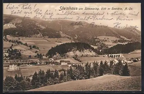 AK Steinhaus am Semmering, Gesamtansicht von einen Berg aus