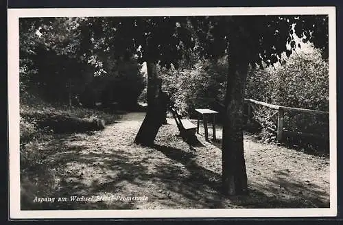 AK Aspang am Wechsel, Sterzl-Promenade