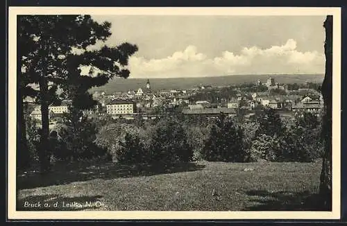 AK Bruck a. d. Leitha, Ortsansicht aus der Ferne