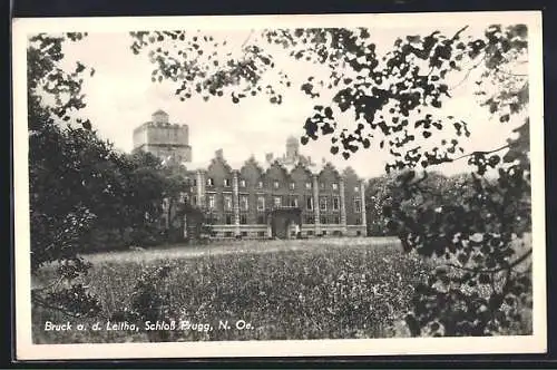 AK Bruck a. d. Leitha, Schloss Brugg