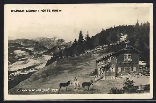 AK Wilhelm Eichert-Hütte, Bergütte von Johann Wagner mit Blick ins Tal