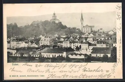 AK Uster, Teilansicht mit Strassenpartie