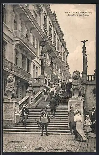 AK Blankenberghe, Escaliers des Lions