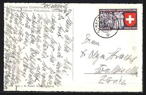 AK Davos, Eichhörnchen sitzt im Schnee