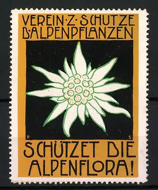 Reklamemarke Verein z. Schutze d`Alpenpflanzen, Edelweiss