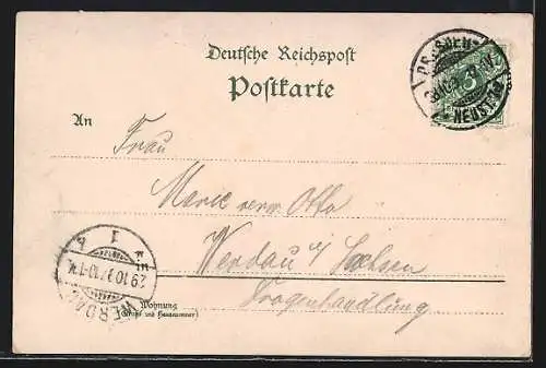 Lithographie Dresden-Neustadt, Wasserwerk m. Saloppe, Waldschlösschen