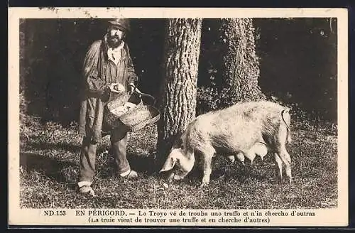 AK Mann mit einem Trüffelschwein bei der Pilzsuche im Périgord