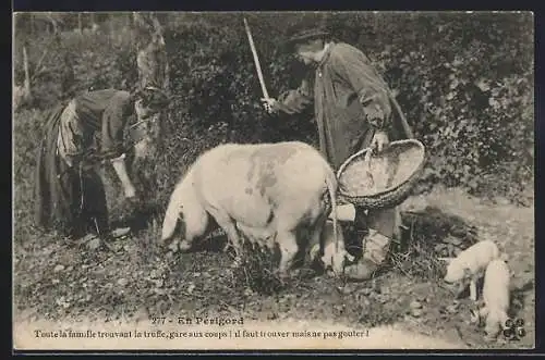 AK Ehepaar mit einem Trüffelschwein und kleinen Ferkeln