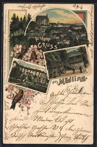 Lithographie Mödling, Sanatorium, Anninger Haus, Ortsansicht aus der Vogelschau