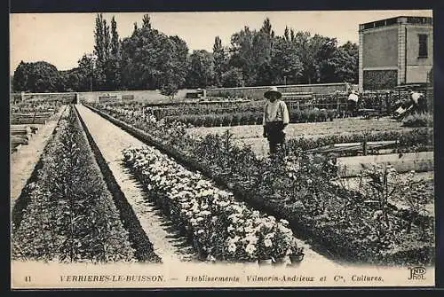 AK Verrieres-le-Buisson, Etablissements Vilmorin-Andrieux et Cie, Cultures