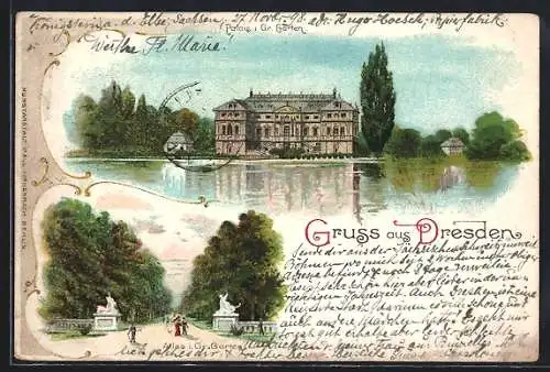 Lithographie Dresden, Palais im Grossen Garten, Allee im Grossen Garten