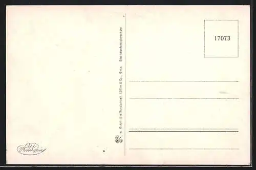 AK Eisenberg / Thür., Frosch-, Naupolds- und Walkmühle