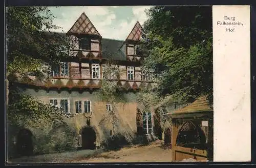 AK Pansfelde, Burg Falkenstein, Hof