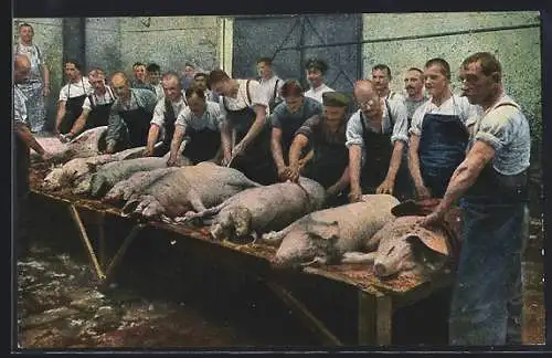 AK Schlachthaus einer Feldschlächterei, Abschaben der geschlachteten Schweine