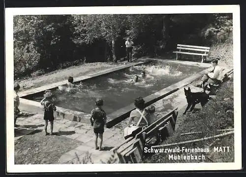 AK Mühlenbach / Gutach, Ferienhaus Matt, Schwimmbecken