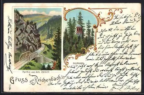 Lithographie Reichenbach / Vogtland, Partie aus dem Steinicht, König Albertshöhe