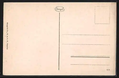 AK Bonn a. Rh., Rheinufer und Hotel Rheineck
