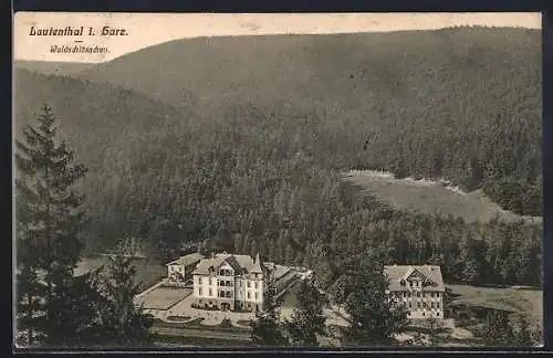 AK Lautenthal i. Harz, Waldschlösschen mit Umgebung