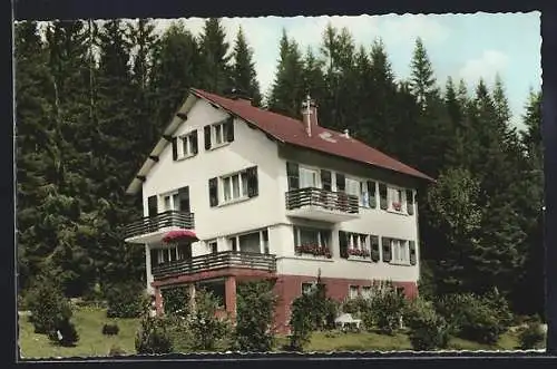 AK Hundsbach-Biberach, Privatpension Haus Herrmann am Wald