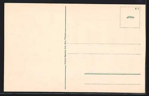 AK Konstanz, Conciliumsgebäude