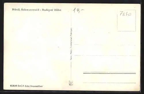 AK Badener Höhe /Schwarzwald, Kurhaus, Mummelsee
