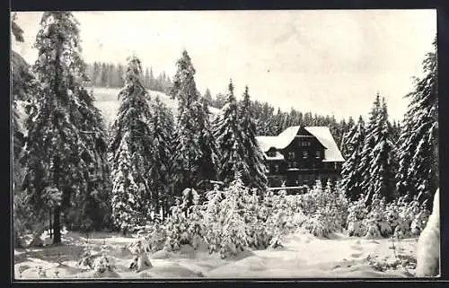 AK Unterstmatt /Schwarzwald, Kurhaus Unterstmatt im Schnee