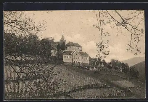 AK Eberstein /Murgtal, Schloss mit Weinbergen