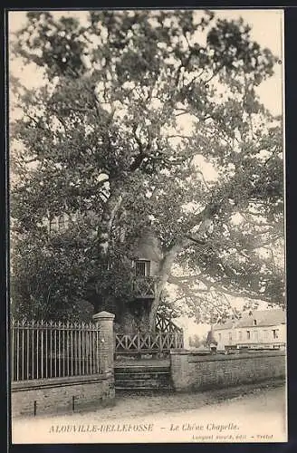 AK Alouville-Bellefosse, Le Chêne Chapelle, Baum