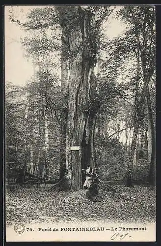 AK Forêt de Fontaineblau, Le Pharamont, Baum