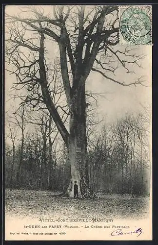 AK St-Ouen-les-Parey /Vosges, Vittel-Contrexéville-Martigny, Le Chêne des Partisans, Baum