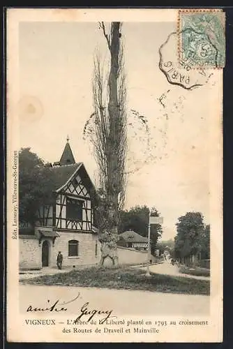 AK Vigneux, L`Arbre de la Liberté planté en 1793 au croisement des Routes de Draveil et Mainville, Baum