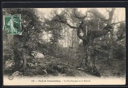 AK Forêt de Fontainebleau, Le Charlemagne et le Roland, Baum